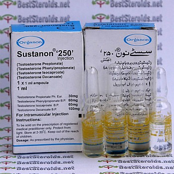 Sustanon 250 - Organon (Pakistan)