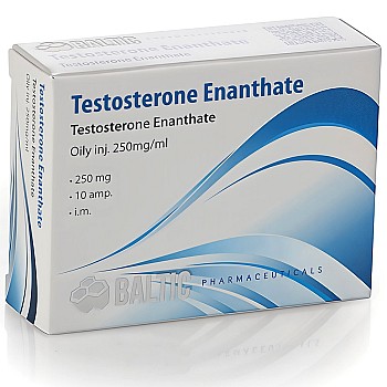 Testosterone Enanthate 250mg/ml - Baltic