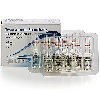Testosterone Enanthate 250mg/ml - Baltic